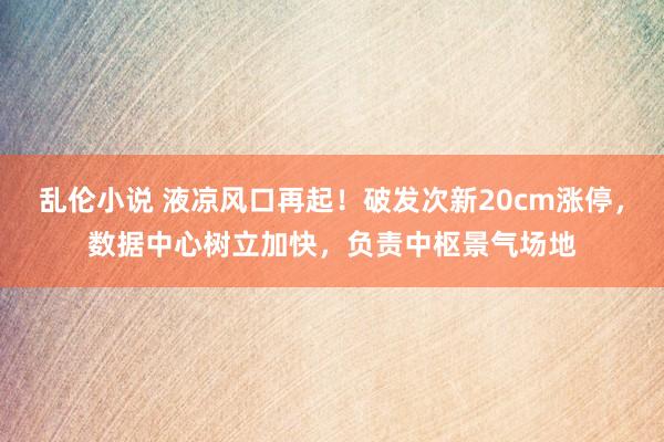 乱伦小说 液凉风口再起！破发次新20cm涨停，数据中心树立加快，负责中枢景气场地