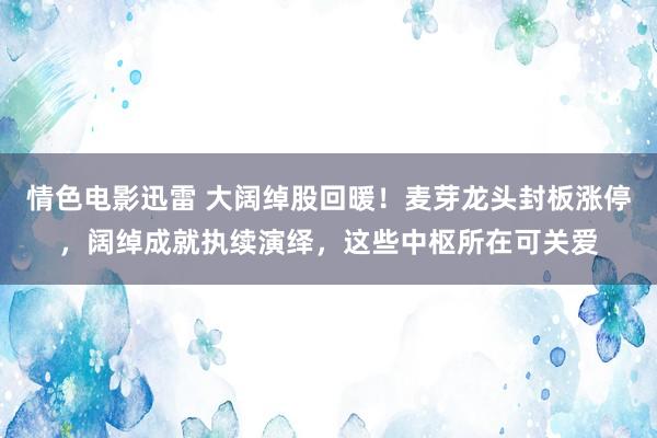 情色电影迅雷 大阔绰股回暖！麦芽龙头封板涨停，阔绰成就执续演绎，这些中枢所在可关爱