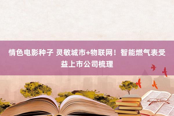 情色电影种子 灵敏城市+物联网！智能燃气表受益上市公司梳理