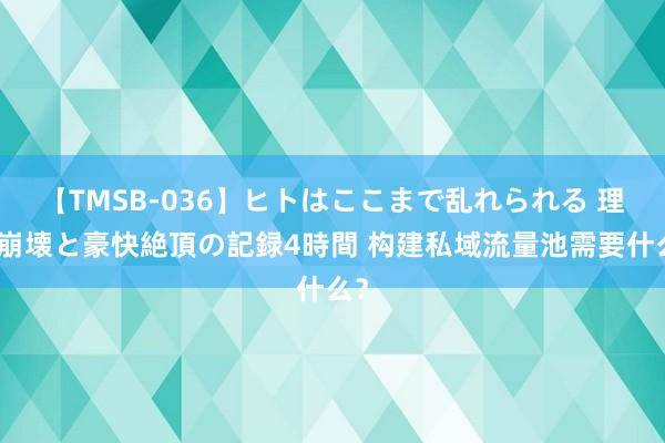 【TMSB-036】ヒトはここまで乱れられる 理性崩壊と豪快絶頂の記録4時間 构建私域流量池需要什么？