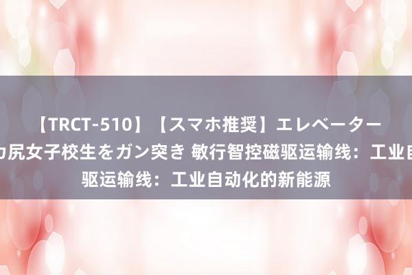 【TRCT-510】【スマホ推奨】エレベーターに挟まれたデカ尻女子校生をガン突き 敏行智控磁驱运输线：工业自动化的新能源