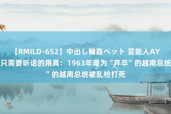 【RMILD-652】中出し輪姦ペット 芸能人AYA 好意思国只需要听话的用具：1963年景为“弃卒”的越南总统被乱枪打死