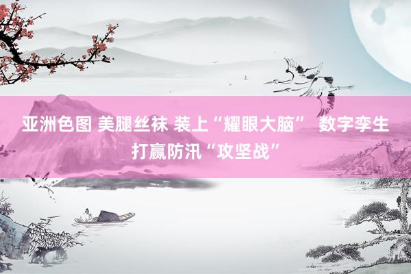 亚洲色图 美腿丝袜 装上“耀眼大脑”  数字孪生打赢防汛“攻坚战”