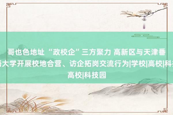 哥也色地址 “政校企”三方聚力 高新区与天津番邦语大学开展校地合营、访企拓岗交流行为|学校|高校|科技园