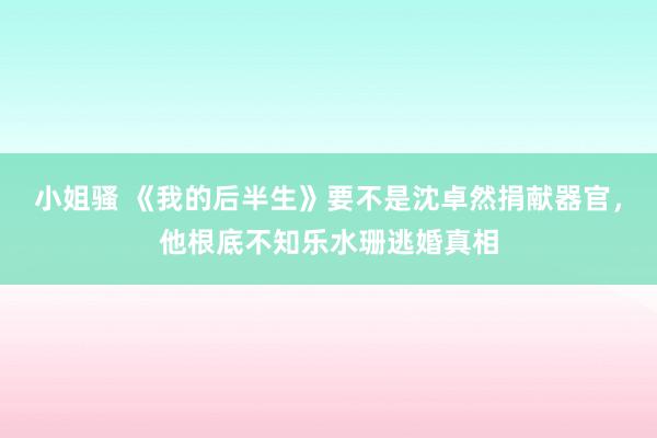 小姐骚 《我的后半生》要不是沈卓然捐献器官，他根底不知乐水珊逃婚真相