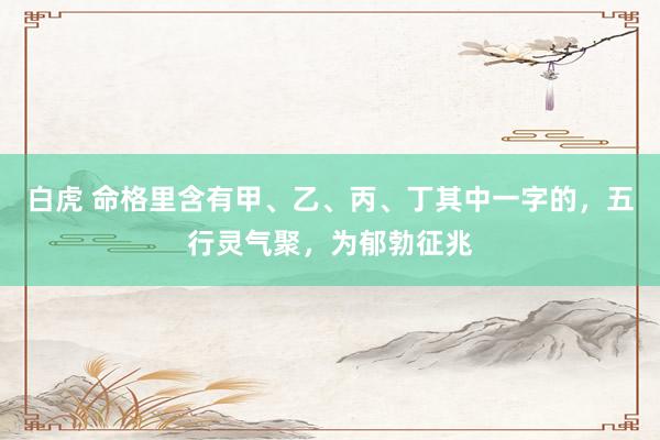 白虎 命格里含有甲、乙、丙、丁其中一字的，五行灵气聚，为郁勃征兆
