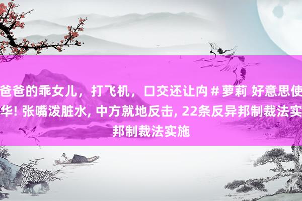 爸爸的乖女儿，打飞机，口交还让禸＃萝莉 好意思使来华! 张嘴泼脏水, 中方就地反击, 22条反异邦制裁法实施