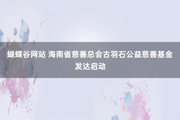 蝴蝶谷网站 海南省慈善总会古羽石公益慈善基金发达启动