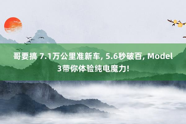 哥要搞 7.1万公里准新车, 5.6秒破百, Model3带你体验纯电魔力!