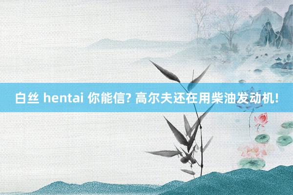 白丝 hentai 你能信? 高尔夫还在用柴油发动机!
