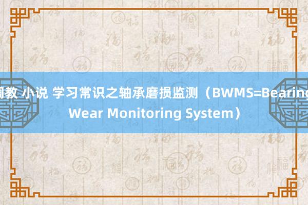 调教 小说 学习常识之轴承磨损监测（BWMS=Bearing Wear Monitoring System）