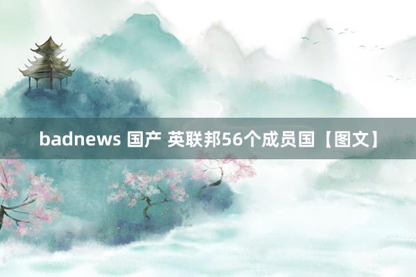 badnews 国产 英联邦56个成员国【图文】