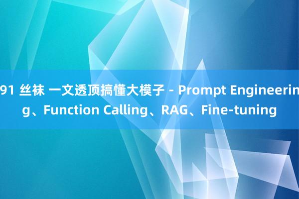 91 丝袜 一文透顶搞懂大模子 - Prompt Engineering、Function Calling、RAG、Fine-tuning